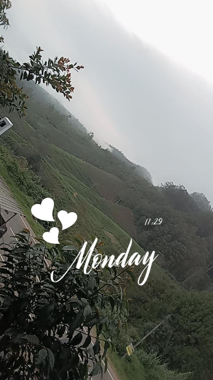Cool Mount Guest Daire Nuwara Eliya Dış mekan fotoğraf