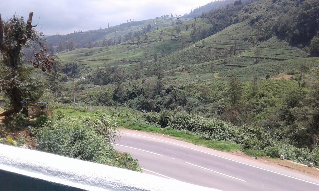 Cool Mount Guest Daire Nuwara Eliya Dış mekan fotoğraf