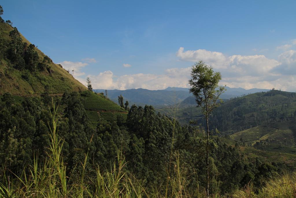 Cool Mount Guest Daire Nuwara Eliya Dış mekan fotoğraf
