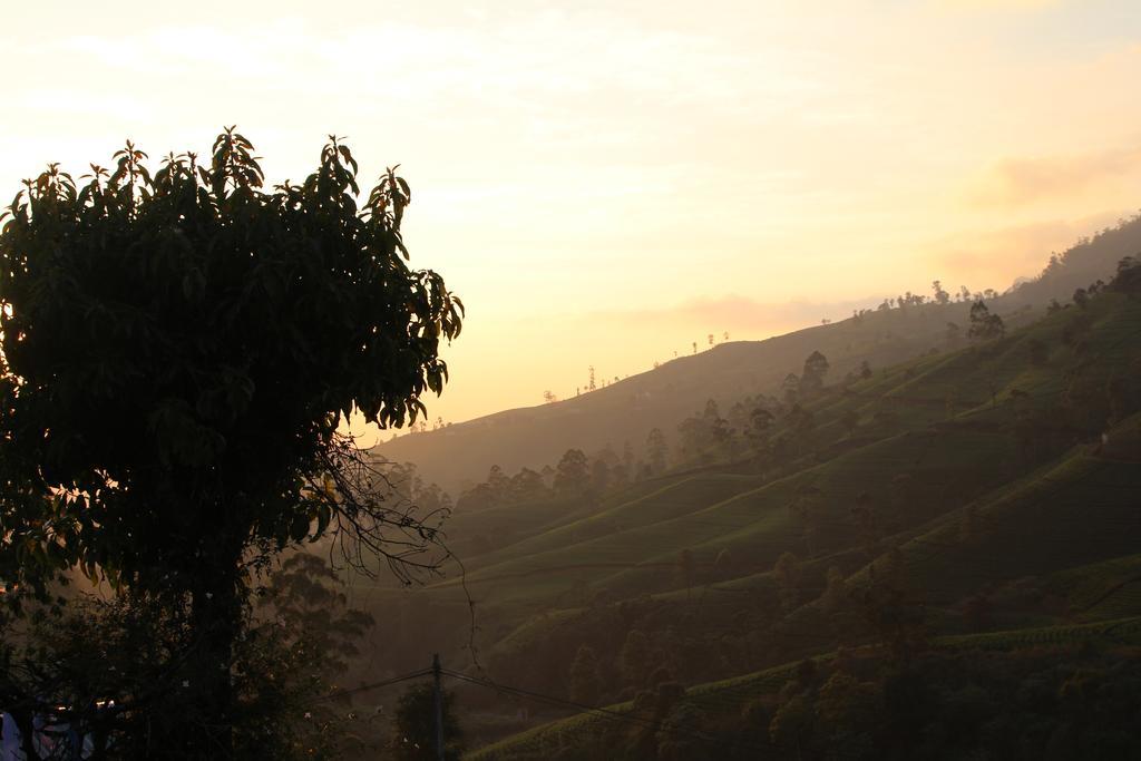Cool Mount Guest Daire Nuwara Eliya Dış mekan fotoğraf