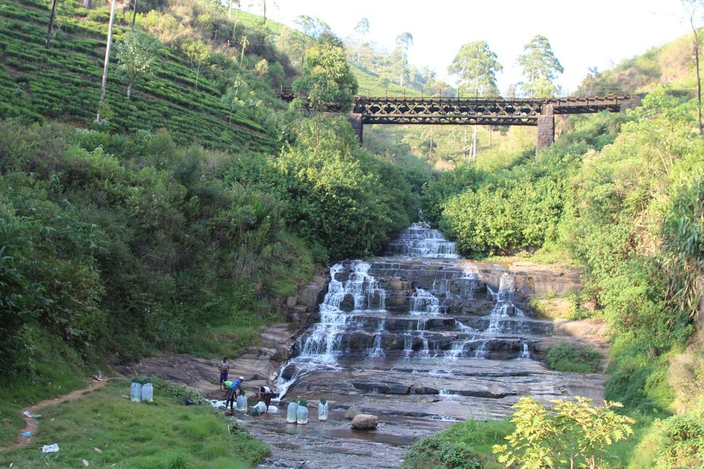 Cool Mount Guest Daire Nuwara Eliya Dış mekan fotoğraf